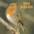 British Garden Birds 2009 Square Wall Calendar