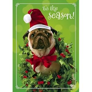 Avanti Plus Christmas Cards, Holly-day Pug, 10 Count Avanti Plus Christmas Cards, Holly-day Pug, 10 Count