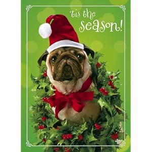 Holly-day Pug Christmas Cards