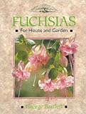 Fuchsias