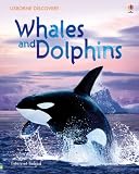 Whales and Dolphins (Usborne Discovery)