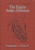 The Equine acute abdomen