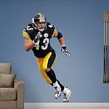 NFL Troy Polamalu Vinyl Wall Graphic Decal Sticker Poster