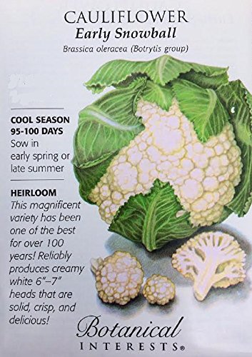 Early Snowball Cauliflower Seeds - 1 gram - Heirloom Early Snowball Cauliflower Seeds - 1 gram - Heirloom
