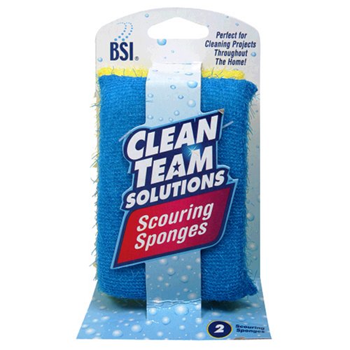 Clean Team Solutions Scouring Sponges, Six - 2 Count Packages (Pack of 3)