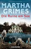 Die Ruine am See: Roman