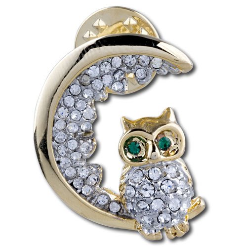 Owl Crescent Moon Brooches And Pins