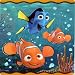 Disney Pixar Finding Nemo Raschel Plush Throw Blanket New!