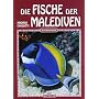 Die Fische der Malediven von Andrea Ghisotti