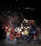 Ori Gersht - Lost in Time