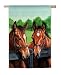 House Size Flag,Horses by the Fence