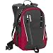 JanSport Agave Backpack (Thai Redpepper)