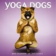 Yoga Dogs 2010 Square Wall (Wall Calendar) Yoga Dogs 2010 Square Wall (Wall Calendar)