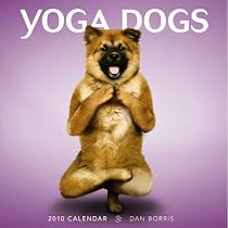 Yoga Dogs 2010 Square Wall (Wall Calendar)