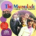 I See the Rain: the CBS Years 1966-1969