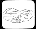 Decorated Mouse Pad with 