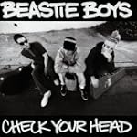 Check Your Head