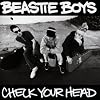 Check Your Head Check Your Head