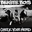 Check Your Head