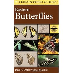 A Field Guide to Eastern Butterflies