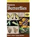 A Field Guide to Eastern Butterflies