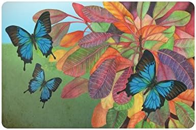 Beautiful Butterfly Doormat Entrance Mat Floor Mat Rug Indoor/Outdoor/Front Door/Bathroom Mats Rubber Non Slip Size 23.6 x 15.7 inches