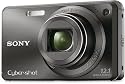 Sony Cyber-shot DSC-W290 12.1 MP Digital Camera with 5x Optical Zoom and Super Steady Shot Image Stabilization (Black)