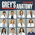 Grey's Anatomy: 2010 Wall Calendar