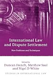 International law and dispute settlement : new problems and techniques