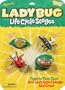 Insect Lore Ladybug Life Cycle Stages