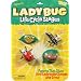 Life Cycle Stages Ladybug