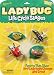 Toys : Life Cycle Stages Ladybug