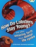 How do lobsters stay young? and other amazing facts about animal life cycles