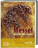 Messel: Sch&auml;tze der Urzeit - Gabriele Gruber, Norbert Micklich
