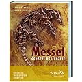 Messel: Sch�tze der Urzeit