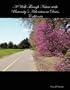 A Walk Through Nature at the University's Arboretum in Davis, California
