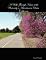 A Walk Through Nature at the University's Arboretum in Davis, California
