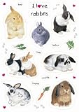 I Love Rabbits Fridge Magnets