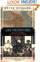 Like Hidden Fire: The Plot to Bring Down the British Empire