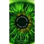 Only Revolutions: A Novel by Mark Z. Danielewski