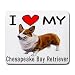 All Products : I Love My Chesapeake Bay Retriever
