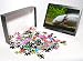 Photo Jigsaw Puzzle of WAT-14638 Axolotl from Ardea Wildlife Pets