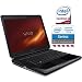 PC Hardware : Sony VAIO VGN-CS180J/Q 14.1-Inch Laptop (2.26 GHz Intel Core 2 Duo P8400 Processor, 4 GB RAM, 320 GB Hard Drive, Blu-ray Drive, Vista Premium) Black