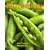 Nutrition: An Applied Approach Value Package (includes MyNutritionLab with MyDietAnalysis Student Access Kit for Nutrition: An Applied Approach)