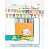 Spellbinders SCF-001 Celebrations Framed Canvas 3D Embossing Folder