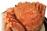 身も味噌もたっぷり!稚内産「極」毛ガニ500g×1尾 極上のカニが激安!毛蟹