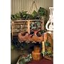 Olde Wine Bar Hanging Bottle Stemware Glass Rack