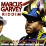 Dub Garvey