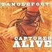 cover of Captured Alive