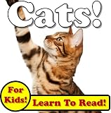 Cats! Learn About Cats While Learning To Read - Cat Photos And Facts Make It Easy! (Over 45+ Photos of Cats)